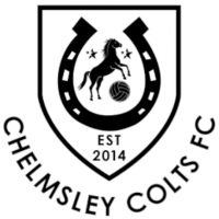 Chelmsley Colts